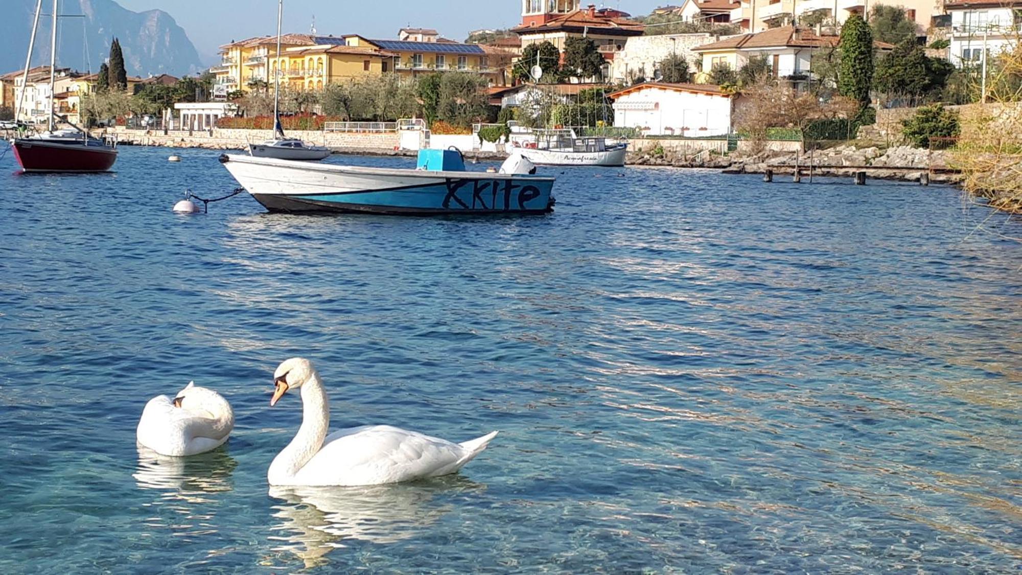 Appartamenti Casa Nina, Lago,Montagne, Uliveti Brenzone sul Garda Exterior foto